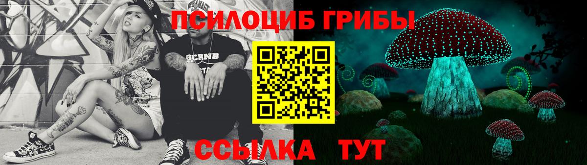 Дербент  Галлюциногенные грибы Psilocybe  Вход с VPN 
